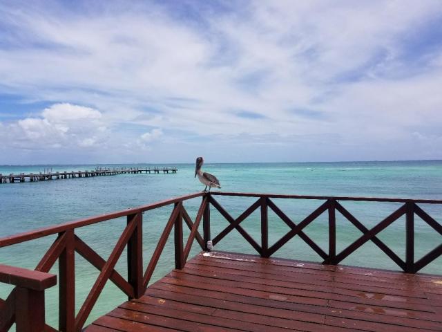 Can you travel during covid?